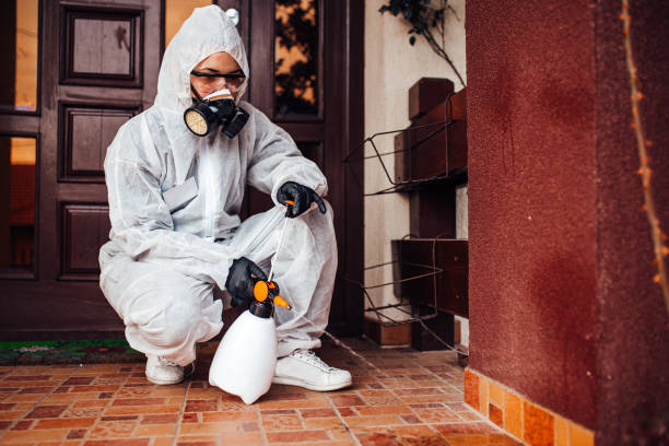 Attic and Crawl Space Rodent Treatment in Eagle Lake